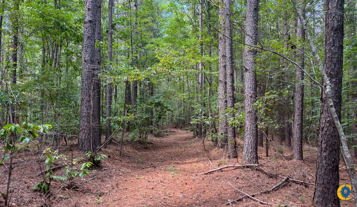 Tennessee River Ridge Compass South Land Sales-29