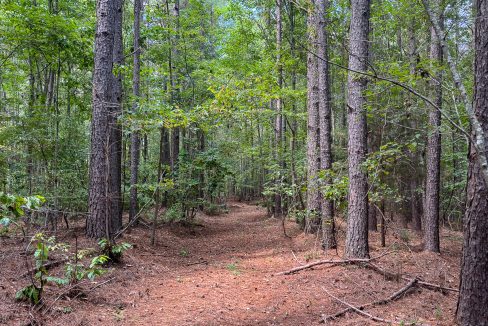Tennessee River Ridge Compass South Land Sales-29
