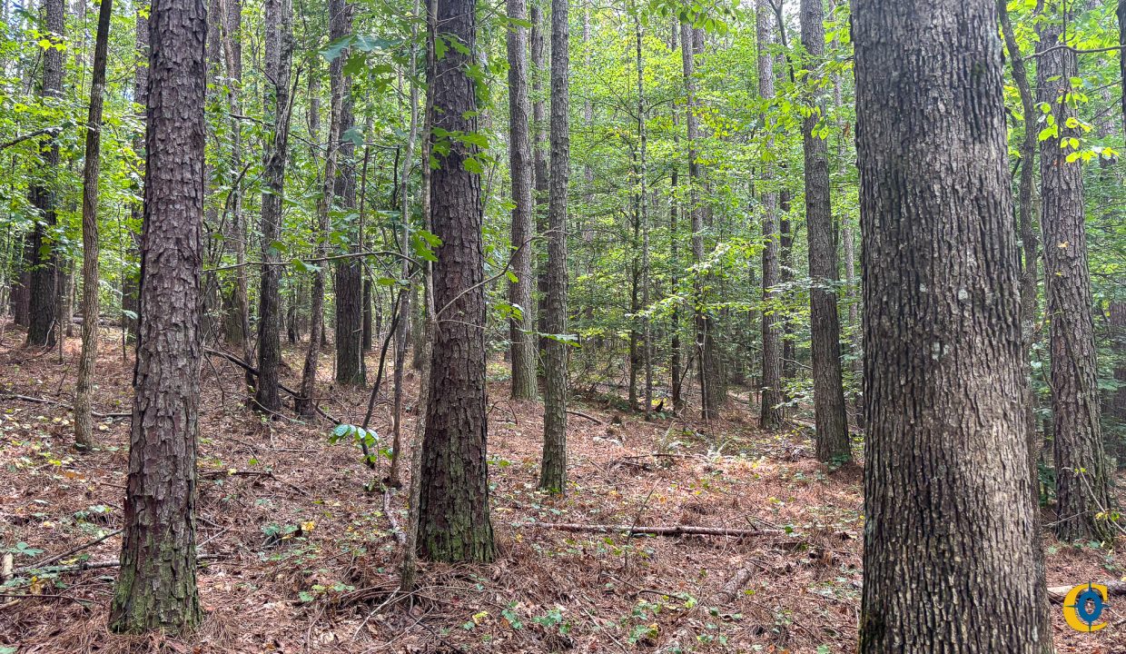 Tennessee River Ridge Compass South Land Sales-34