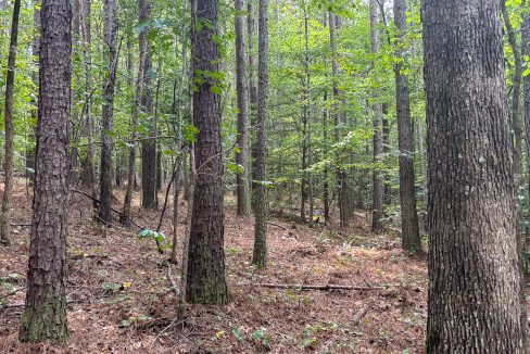 Tennessee River Ridge Compass South Land Sales-34