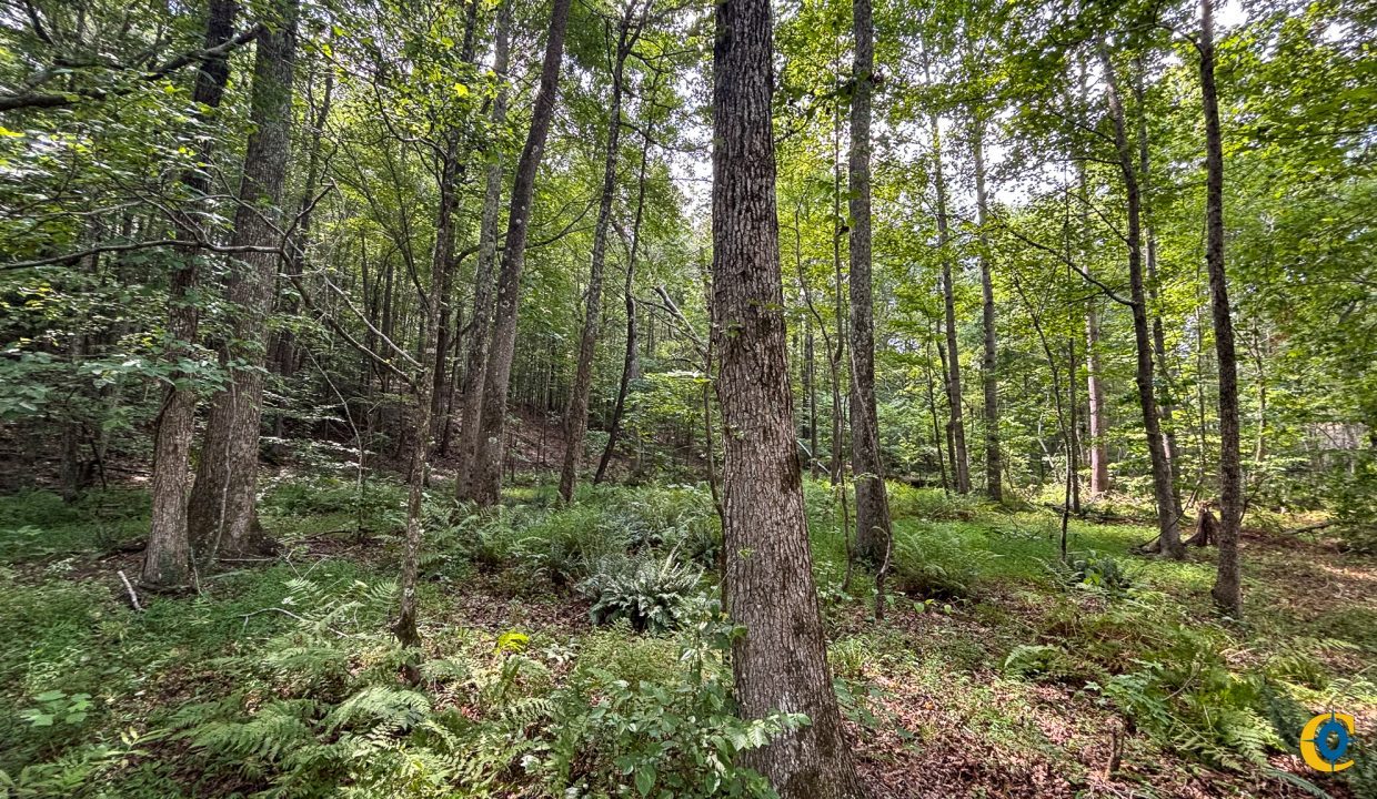 Tennessee River Ridge Compass South Land Sales-37