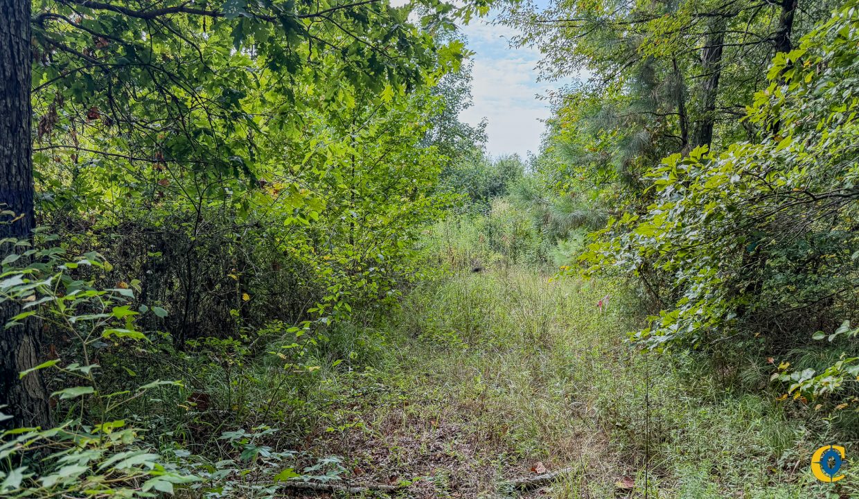 Ashley 2 Tract Compass South Land Sales-11