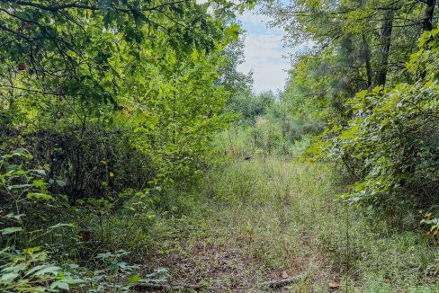 Ashley 2 Tract Compass South Land Sales-11