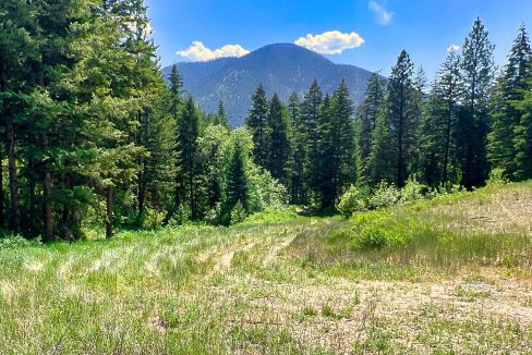 Bestwick Creek (26)