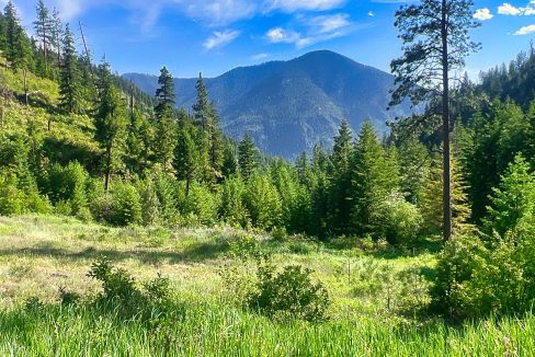 Bestwick Creek (31)