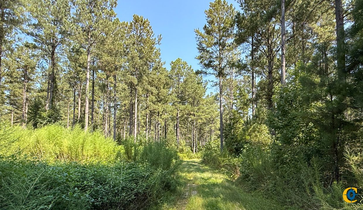 Brushy Creek Compass South Land Sales-02