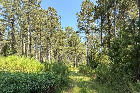 Brushy Creek Compass South Land Sales-02