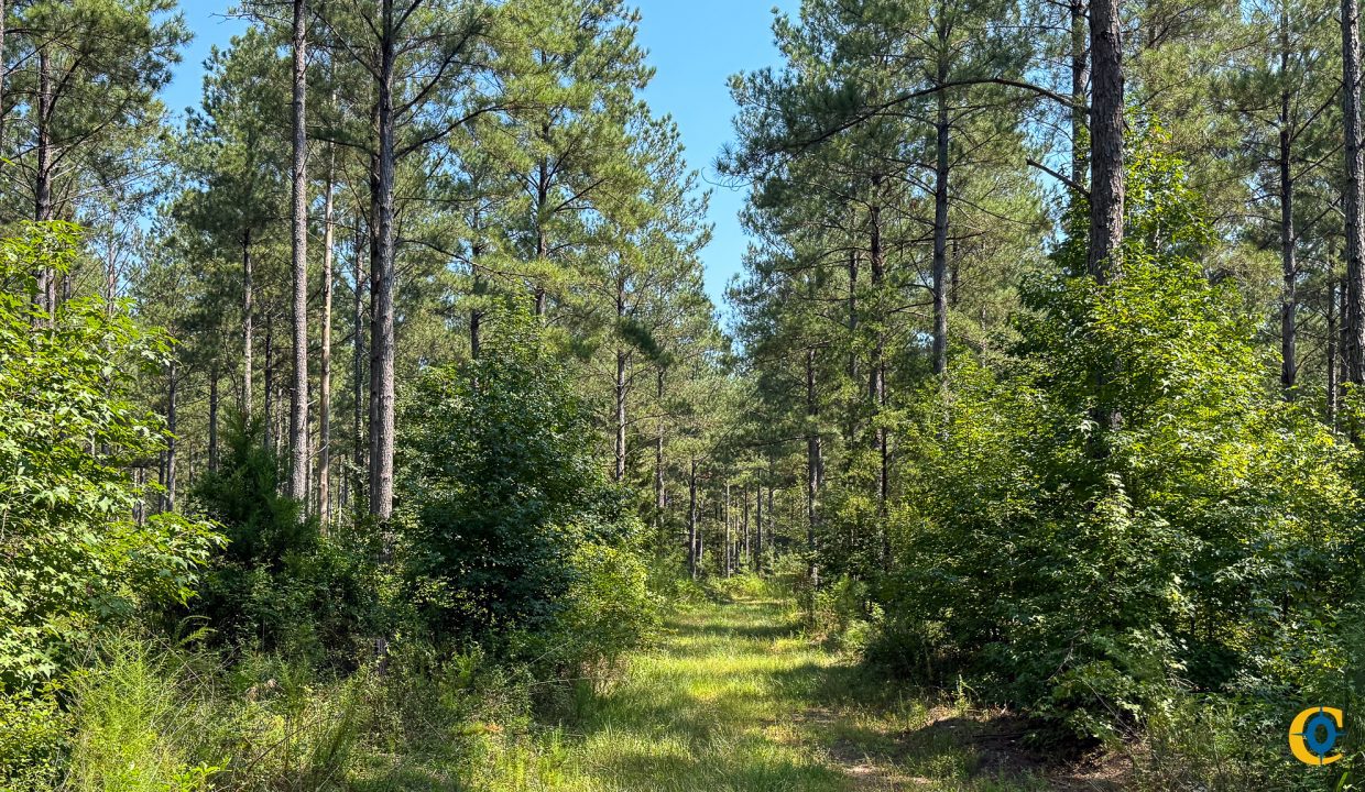 Brushy Creek Compass South Land Sales-03