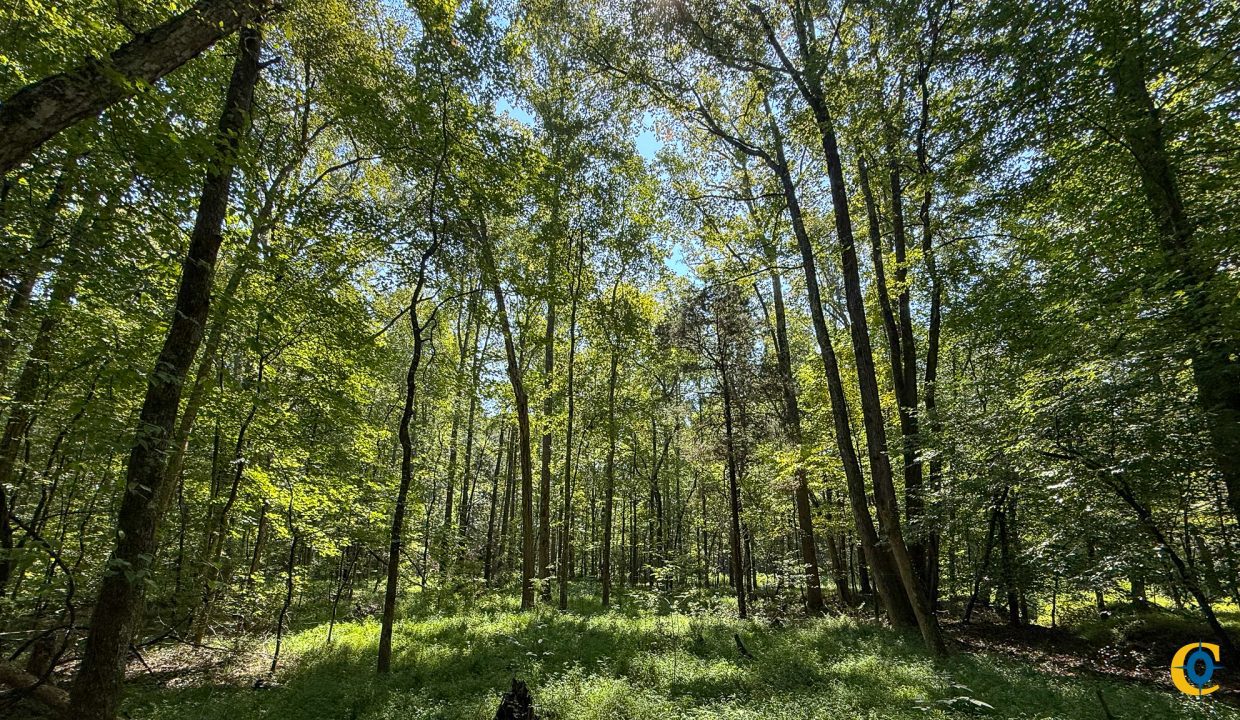 Brushy Creek Compass South Land Sales-05