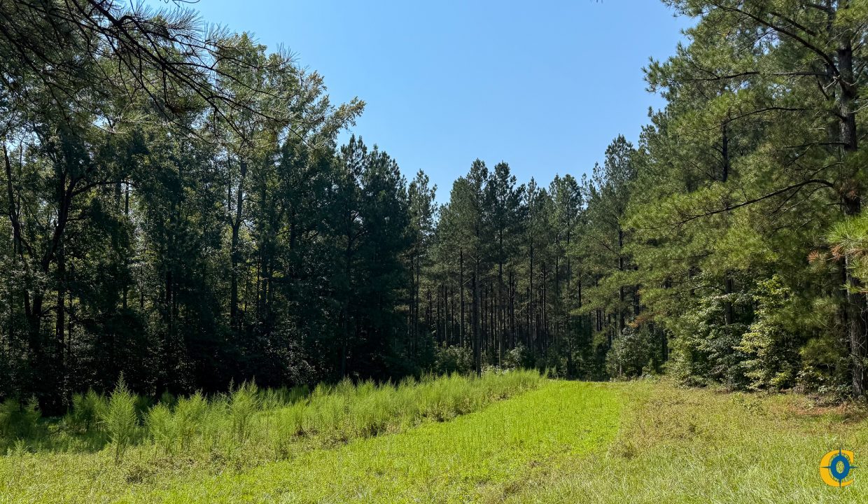 Brushy Creek Compass South Land Sales-06