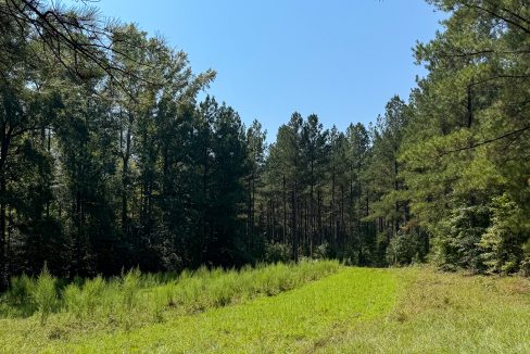 Brushy Creek Compass South Land Sales-06