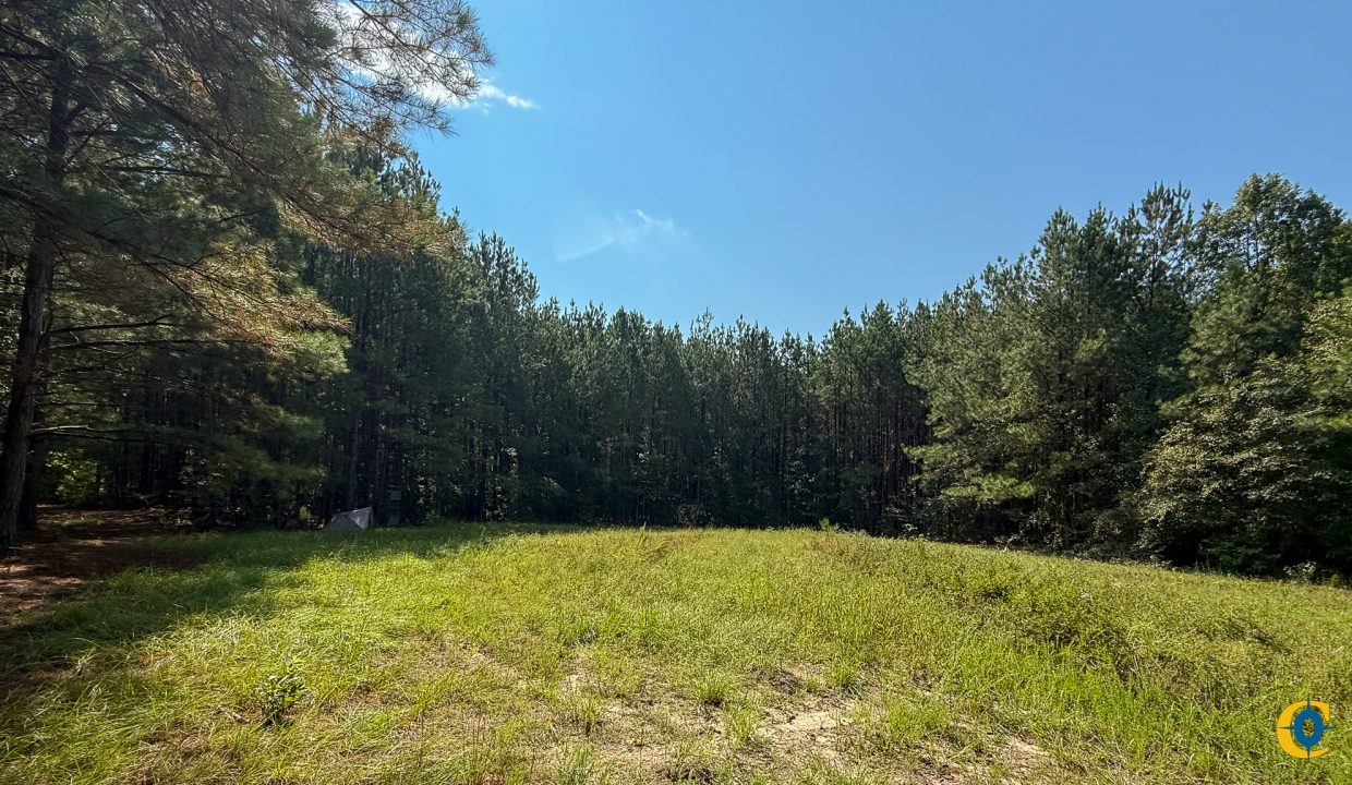 Brushy Creek Compass South Land Sales-07