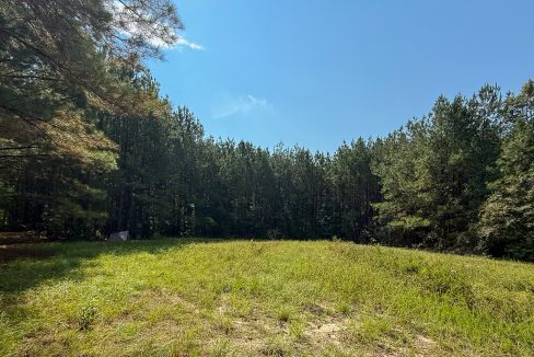 Brushy Creek Compass South Land Sales-07