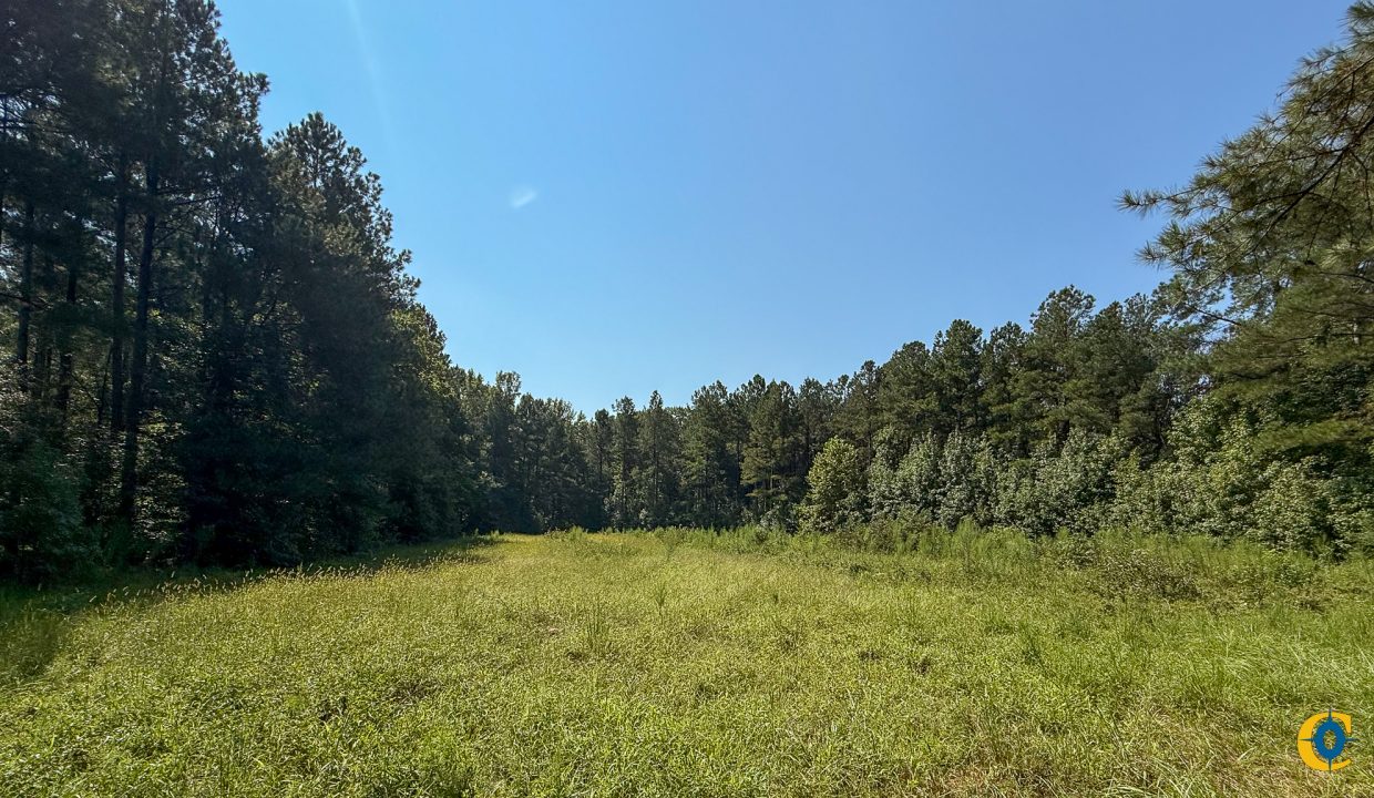 Brushy Creek Compass South Land Sales-08