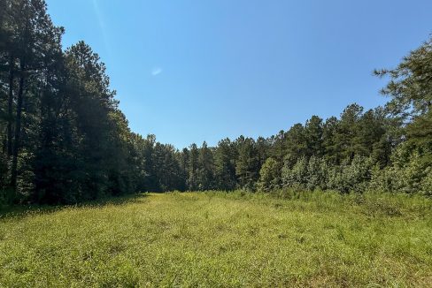 Brushy Creek Compass South Land Sales-08
