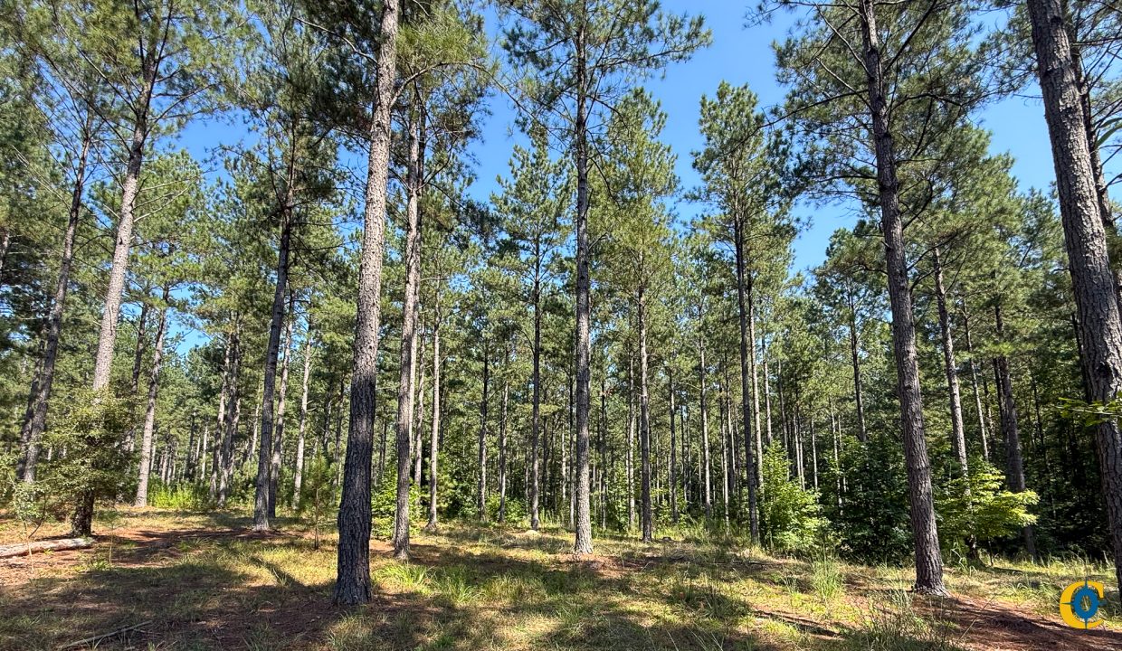 Brushy Creek Compass South Land Sales-09