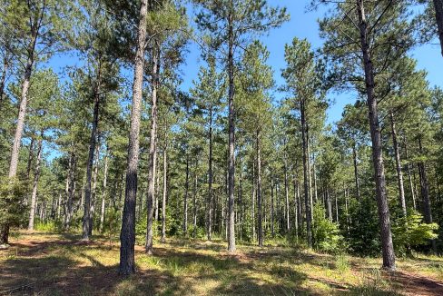 Brushy Creek Compass South Land Sales-09