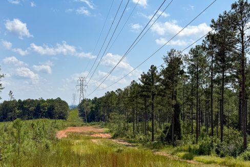 Buffalo Tract Compass South Land Sales-02