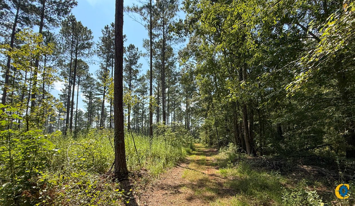 Buffalo Tract Compass South Land Sales-04