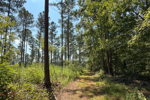 Buffalo Tract Compass South Land Sales-04