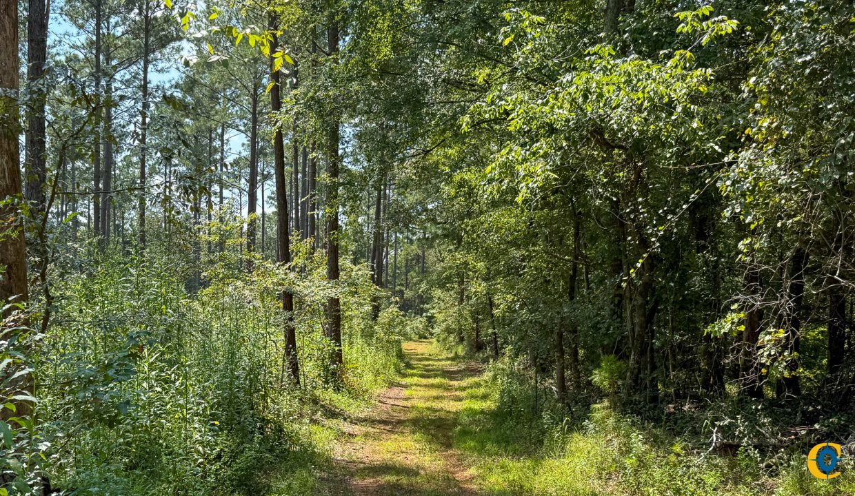Buffalo Tract Compass South Land Sales-05