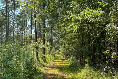 Buffalo Tract Compass South Land Sales-05