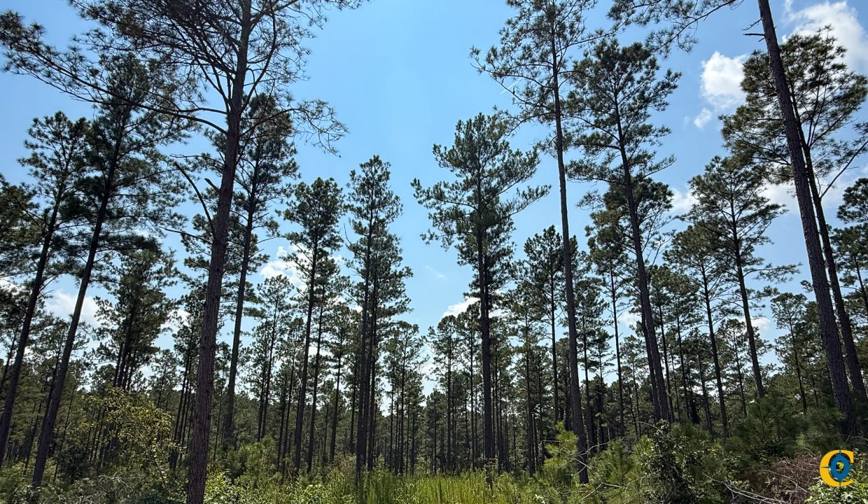 Buffalo Tract Compass South Land Sales-06