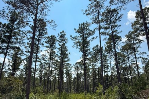 Buffalo Tract Compass South Land Sales-06
