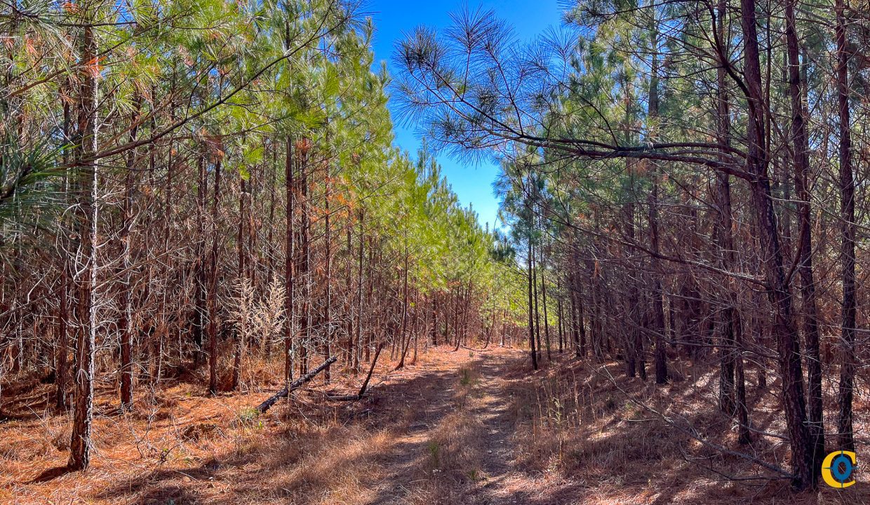 Rockhouse Ridge Compass South Land Sales-07