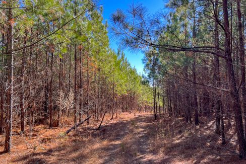 Rockhouse Ridge Compass South Land Sales-07