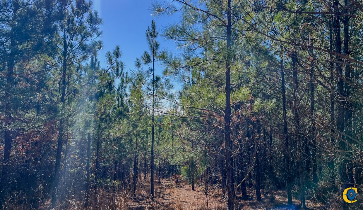 Rockhouse Ridge Compass South Land Sales-08