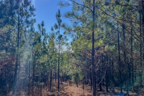 Rockhouse Ridge Compass South Land Sales-08