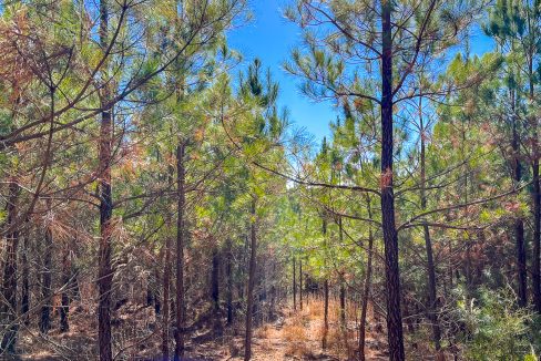 Rockhouse Ridge Compass South Land Sales-09