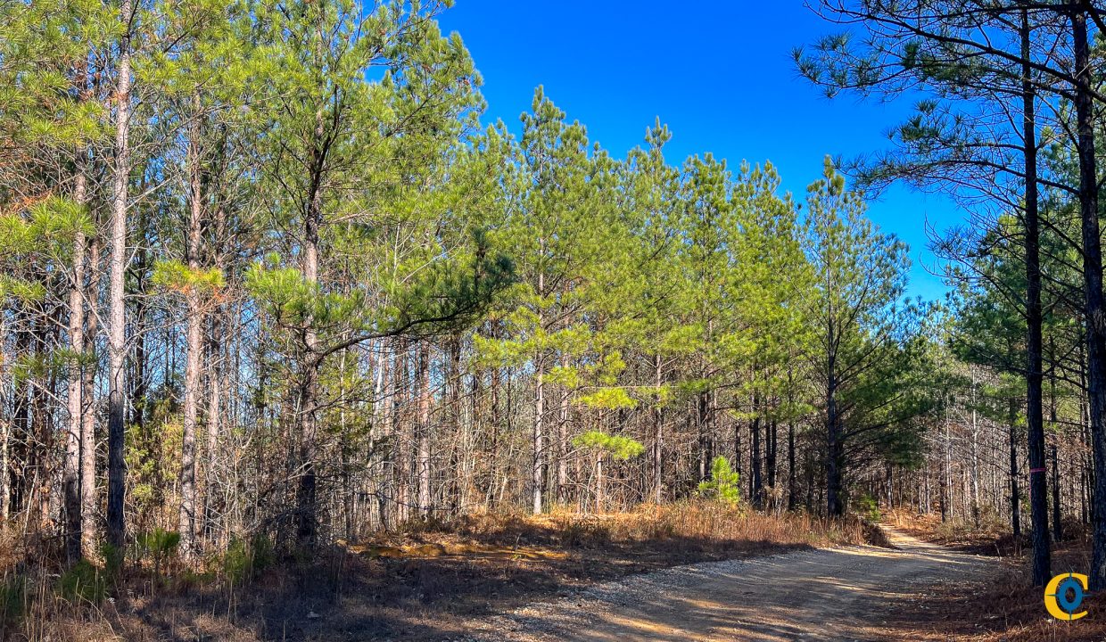 Rockhouse Ridge Compass South Land Sales-10