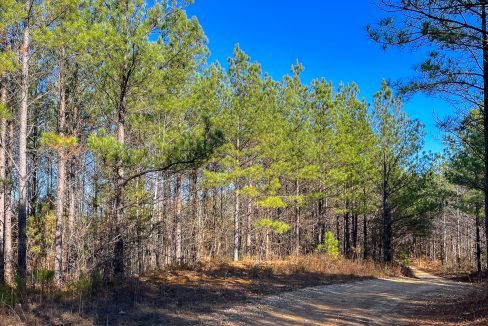 Rockhouse Ridge Compass South Land Sales-10