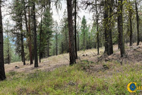 Roman Creek Road Tract (24)
