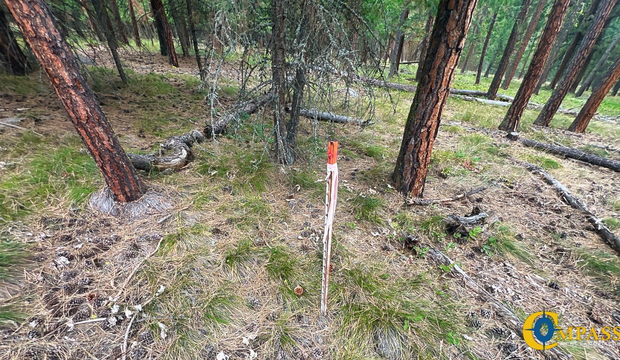 Roman Creek Road Tract (33)