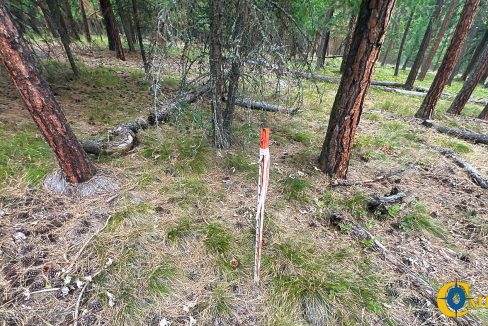 Roman Creek Road Tract (33)
