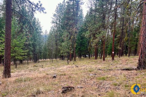 Roman Creek Road Tract (35)