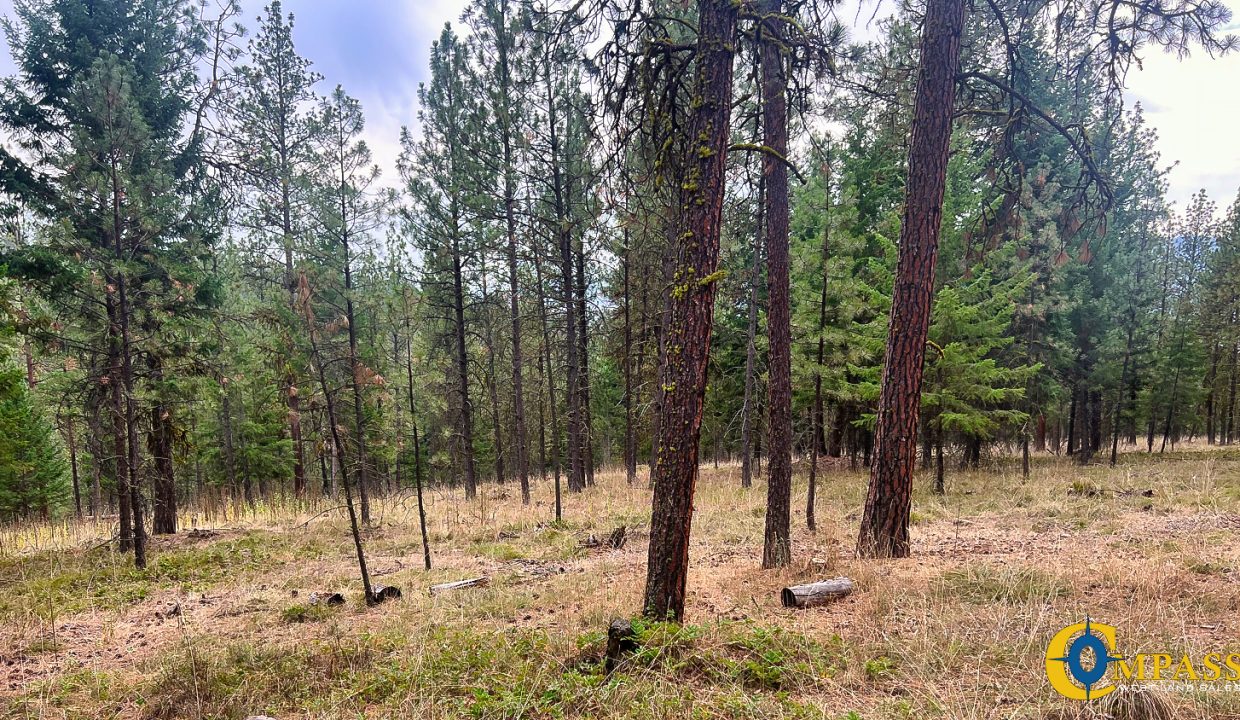 Roman Creek Road Tract (36)