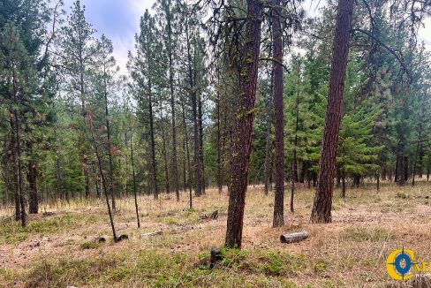 Roman Creek Road Tract (36)