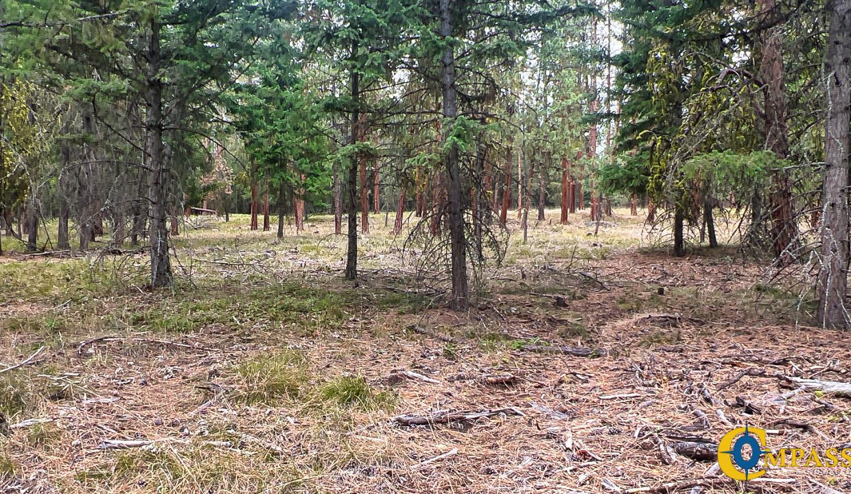 Roman Creek Road Tract (38)