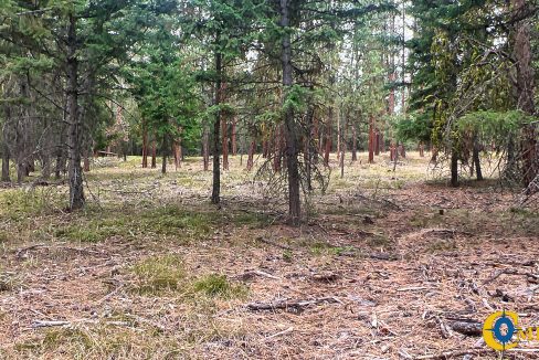 Roman Creek Road Tract (38)
