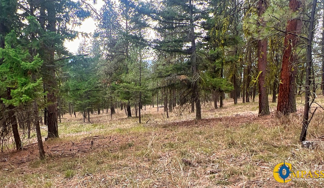 Roman Creek Road Tract (39)