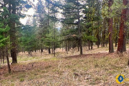 Roman Creek Road Tract (39)
