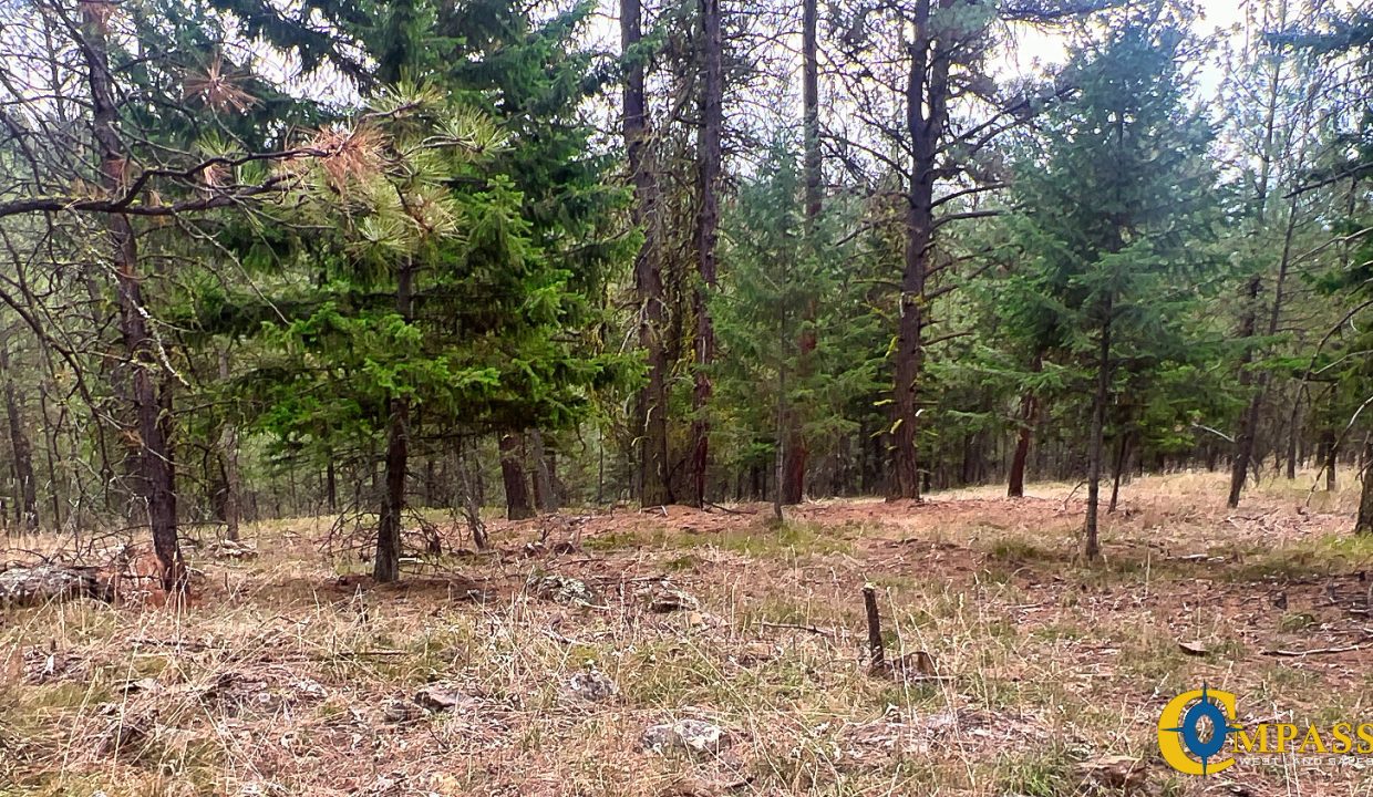 Roman Creek Road Tract (40)