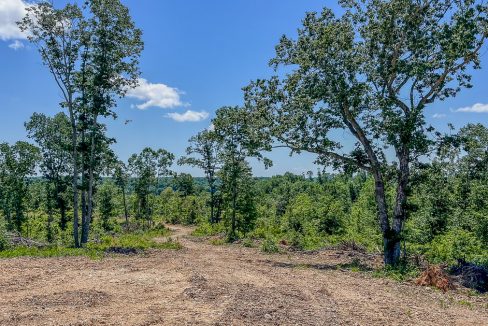 Waverly Bid Sale Compass South Land Sales Tennessee-116