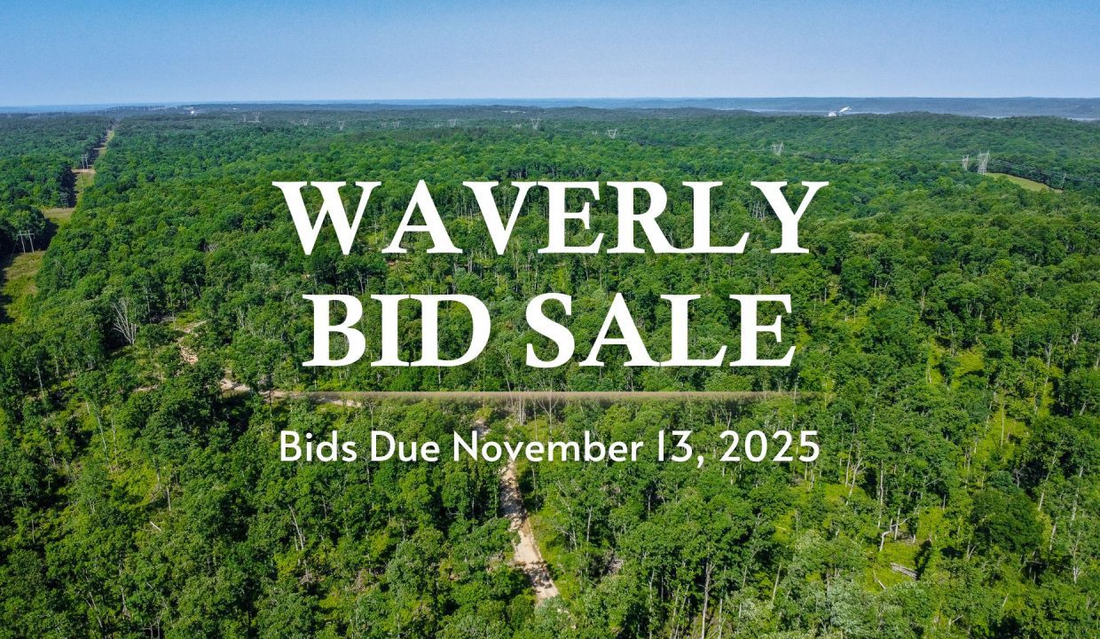 Waverly Bid Sale Email Image