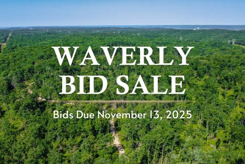 Waverly Bid Sale Email Image