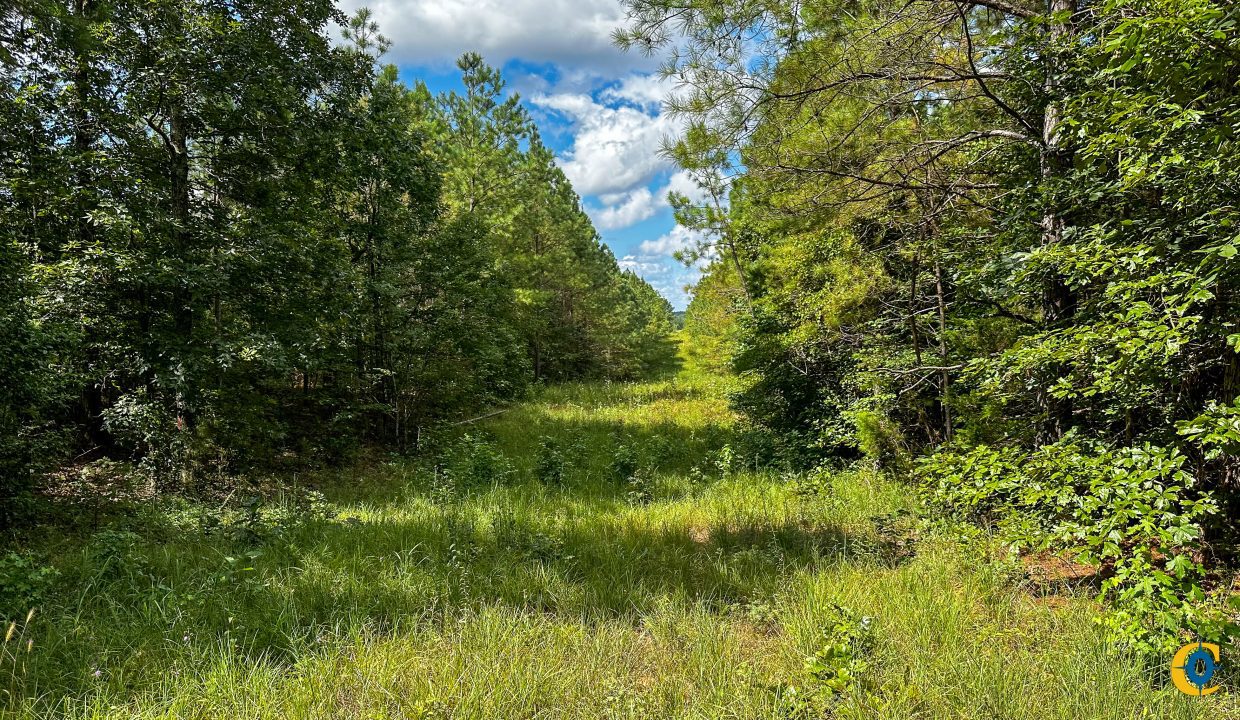 Hines Hollow Compass South Land Sales Tennessee-01